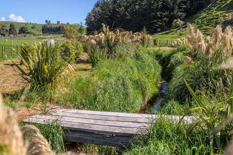 64 Matapihi Road Masterton_11