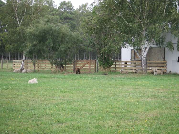 110 Riverbank Road Okoia_16