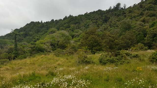 130-132 Powell Road Herekino_2