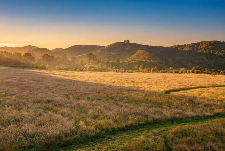 2036D State Highway 2 Masterton_5