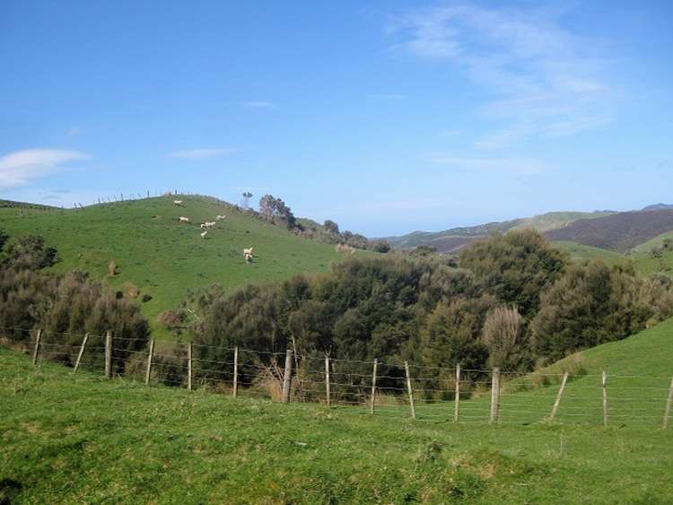 12271 Route 52 Pongaroa_20