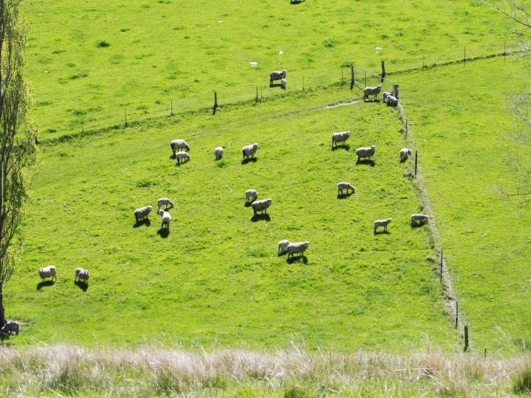 539 Rolling Ridges Road Levels Valley_19