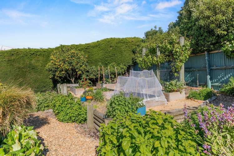 126 Marine Dr Diamond Harbour_19