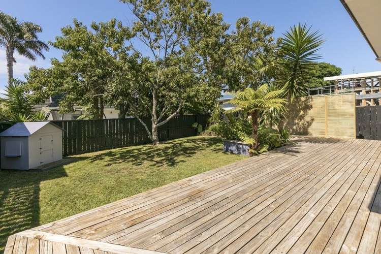 16b Horton Avenue Avondale_14