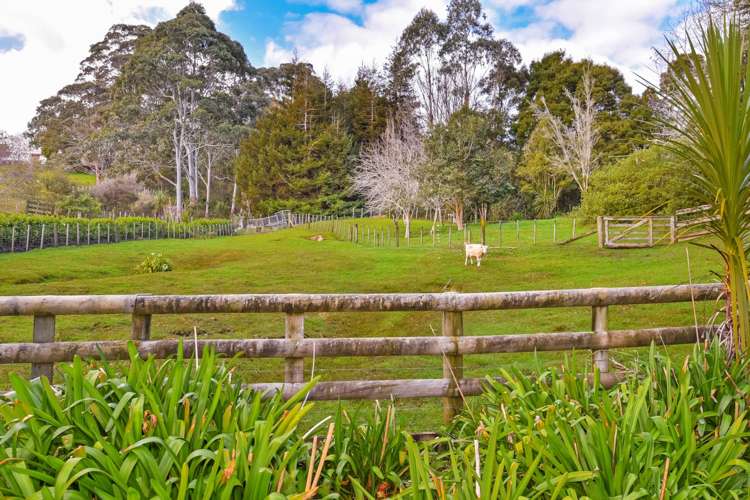 102 Kennedy Road Dairy Flat_11