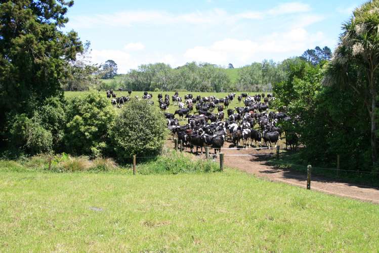 202 Wortley Road Lepperton_13