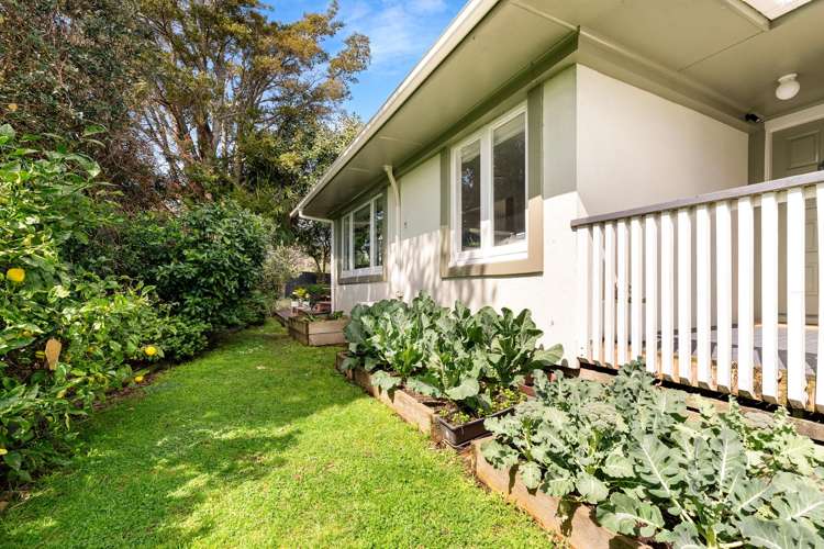 16a Waterton Place Avondale_32