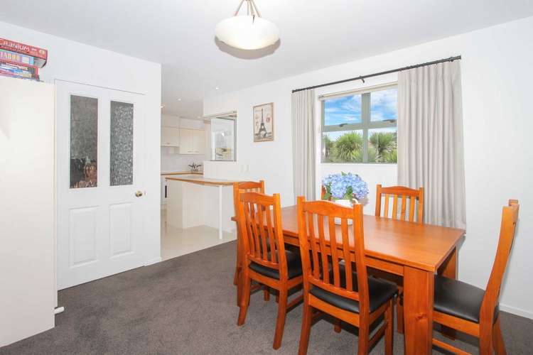 15a Queenstown Road Hillsborough_11