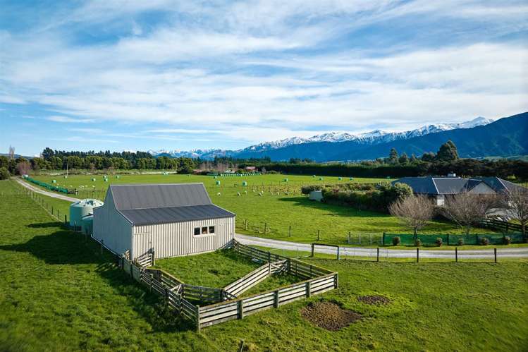 238 Red Swamp Road Kaikoura_17