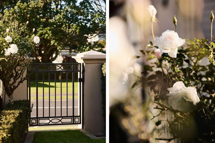 1 Edgecumbe Road Tauranga Central_22