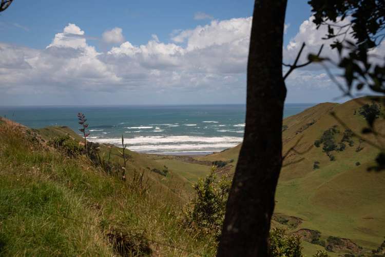 44 J Irwin Road Waiuku_8