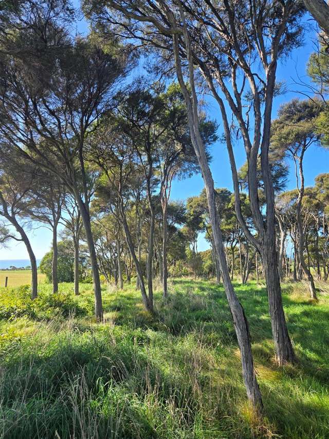 13/600 Conway Flat Road Cheviot_1