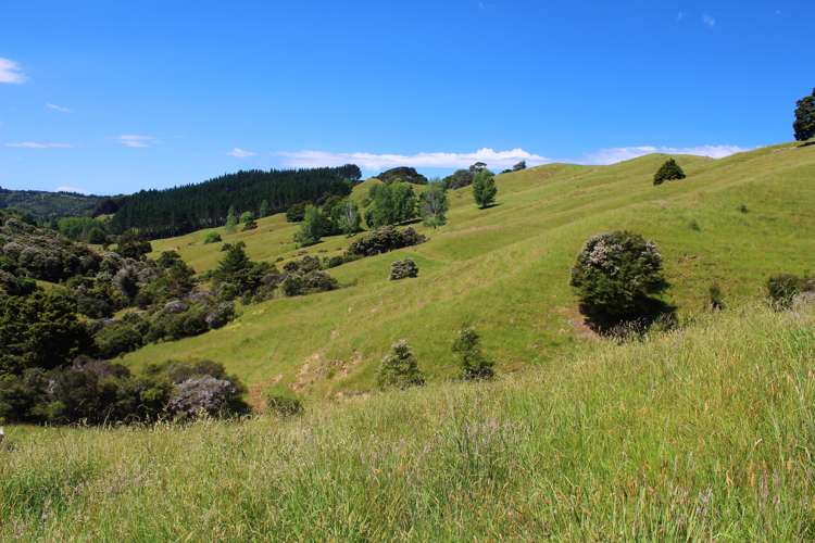 121 Krippner Road Puhoi_10