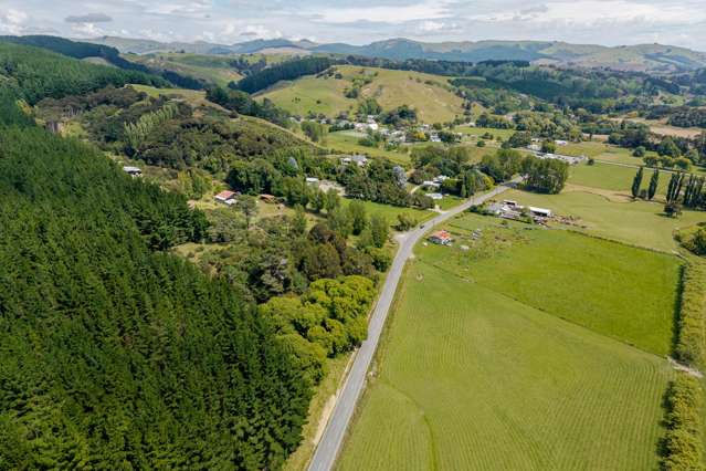 4/4101 Masterton Castle Point Rd, Tinui Masterton_2