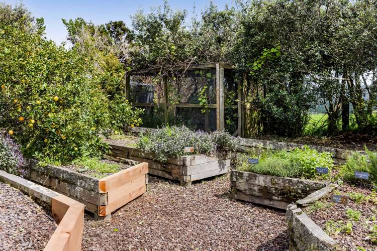 104 Pitt Road Hillsborough_61