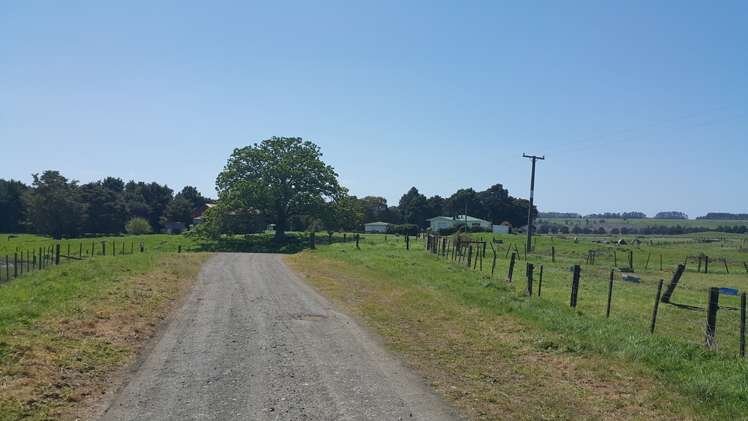 3763 State Highway 12 Taheke_17