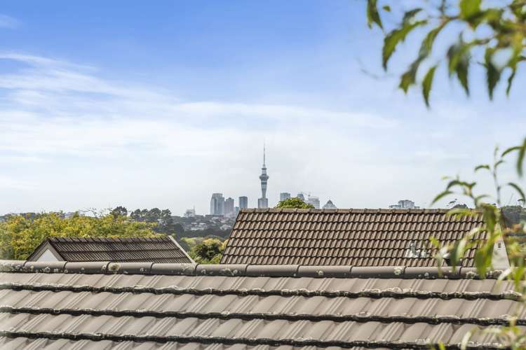 20a Seaview Terrace Mount Albert_9