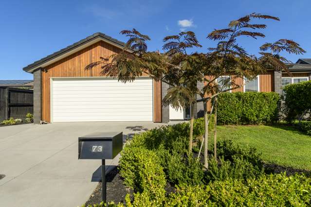 73 Bert Wall Drive Omokoroa_1