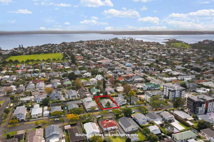 13 Miller Street Point Chevalier_1