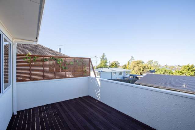 171a Ellicott Road Nawton_3