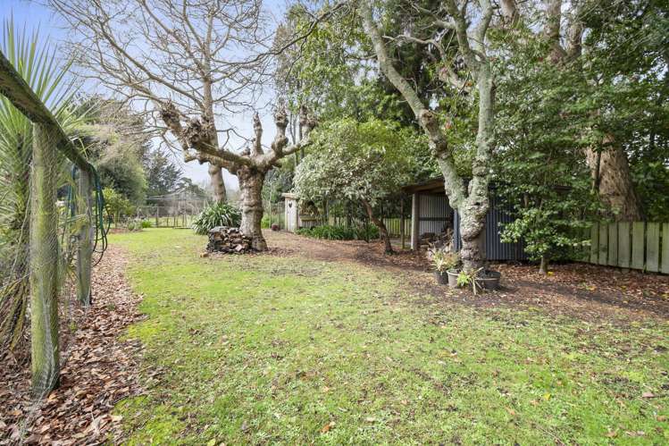 7 Calico Line Marton_33