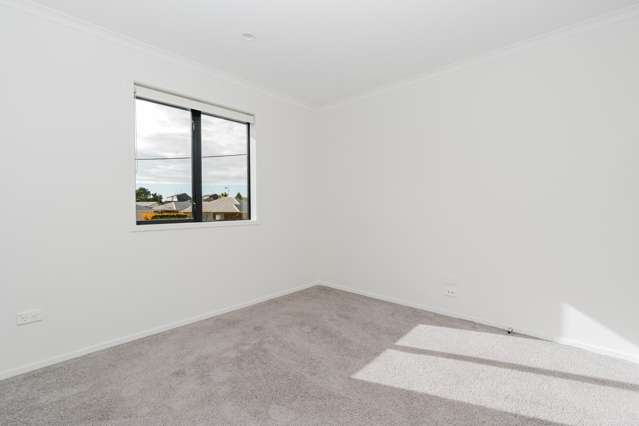 1/1 Brooklyn Road Claudelands_4