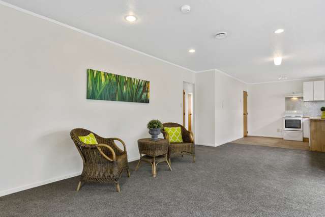 26a Fourteenth Avenue Tauranga South_4