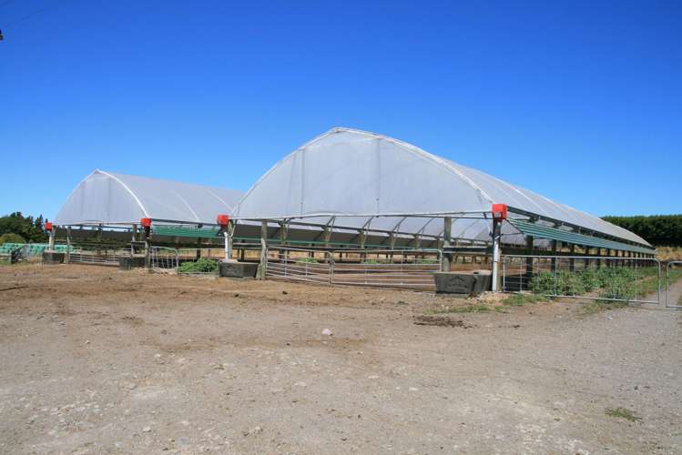 1996 Egmont Road Inglewood_5