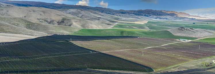 159 Thomson Gorge Road Cromwell_9