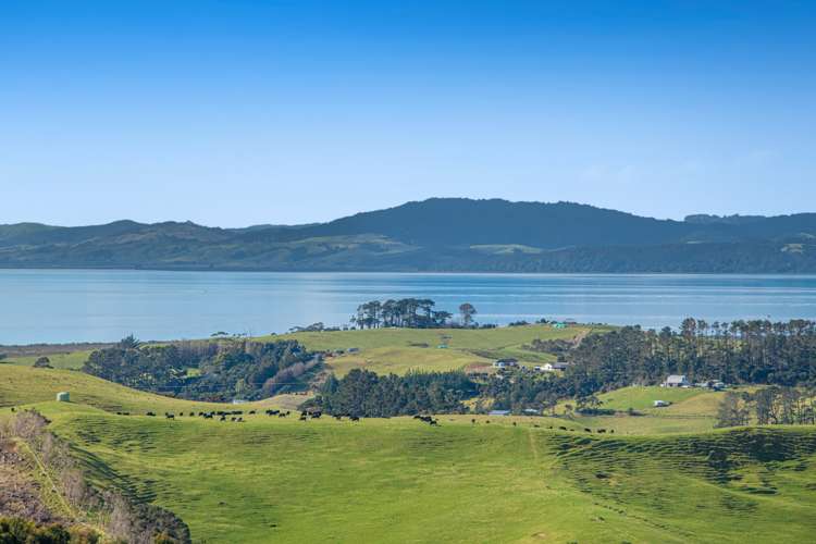 156 Te Kanae Road, South Head Helensville_35