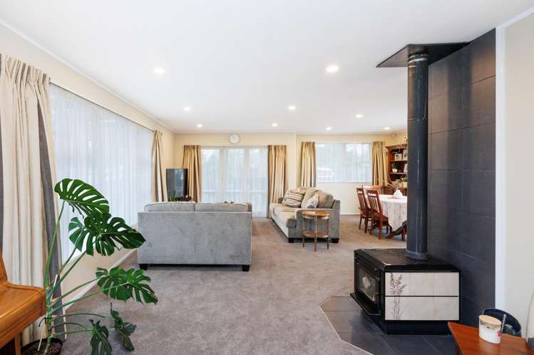 644 Featherston Street Roslyn_8