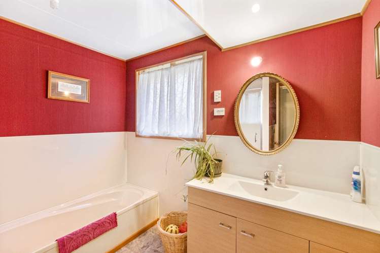 12 Park Street Gore_19