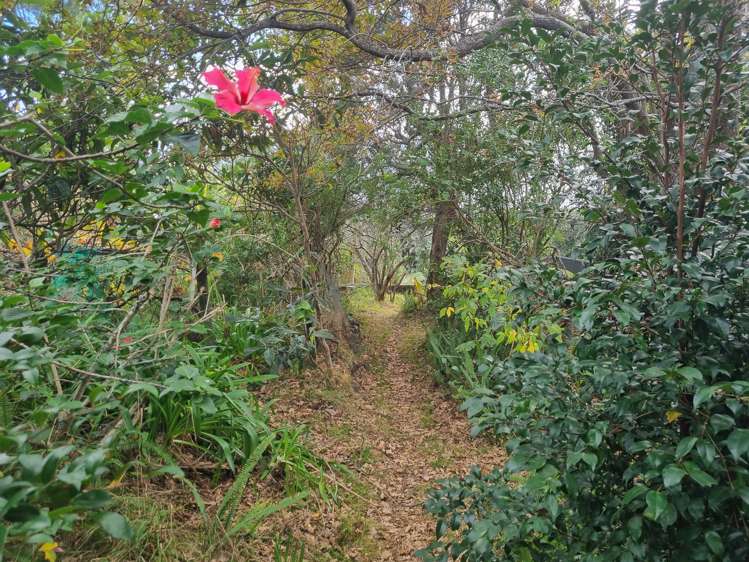 1434 Whangaparaoa Road Army Bay_11