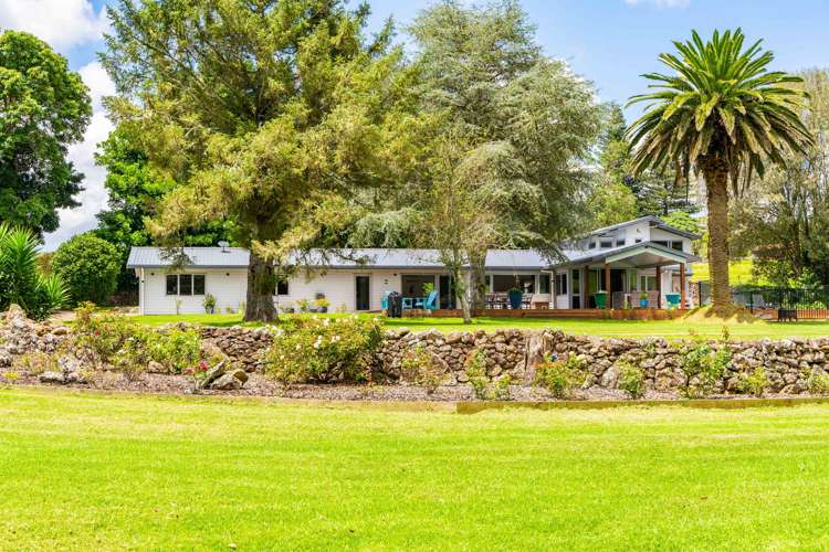 589 Ngunguru Road Glenbervie_5