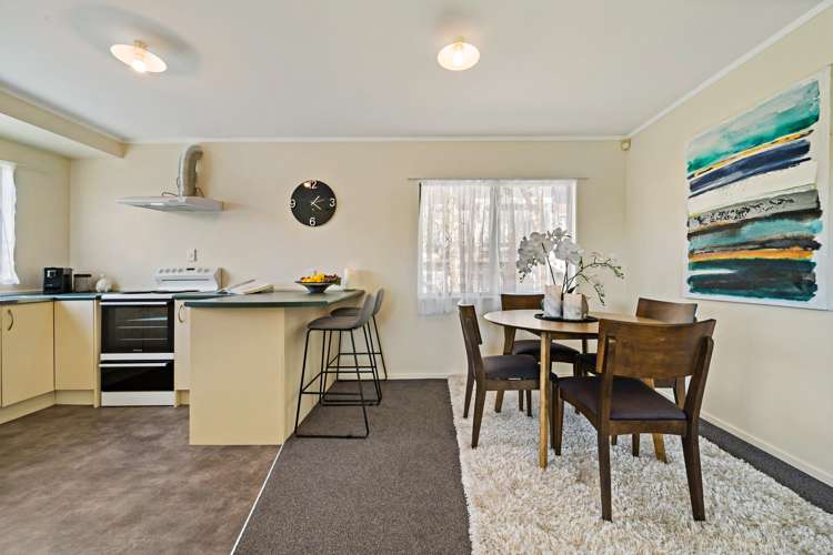 8a Locke Avenue Mount Roskill_9