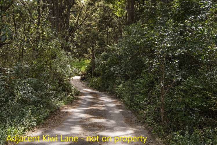 45 Kiwi Lane Kaiwaka_10