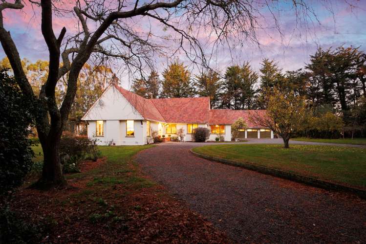 768 Mount Stewart Halcombe Road Halcombe_45
