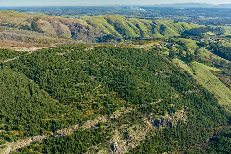 361 Worsleys Road Cashmere_11