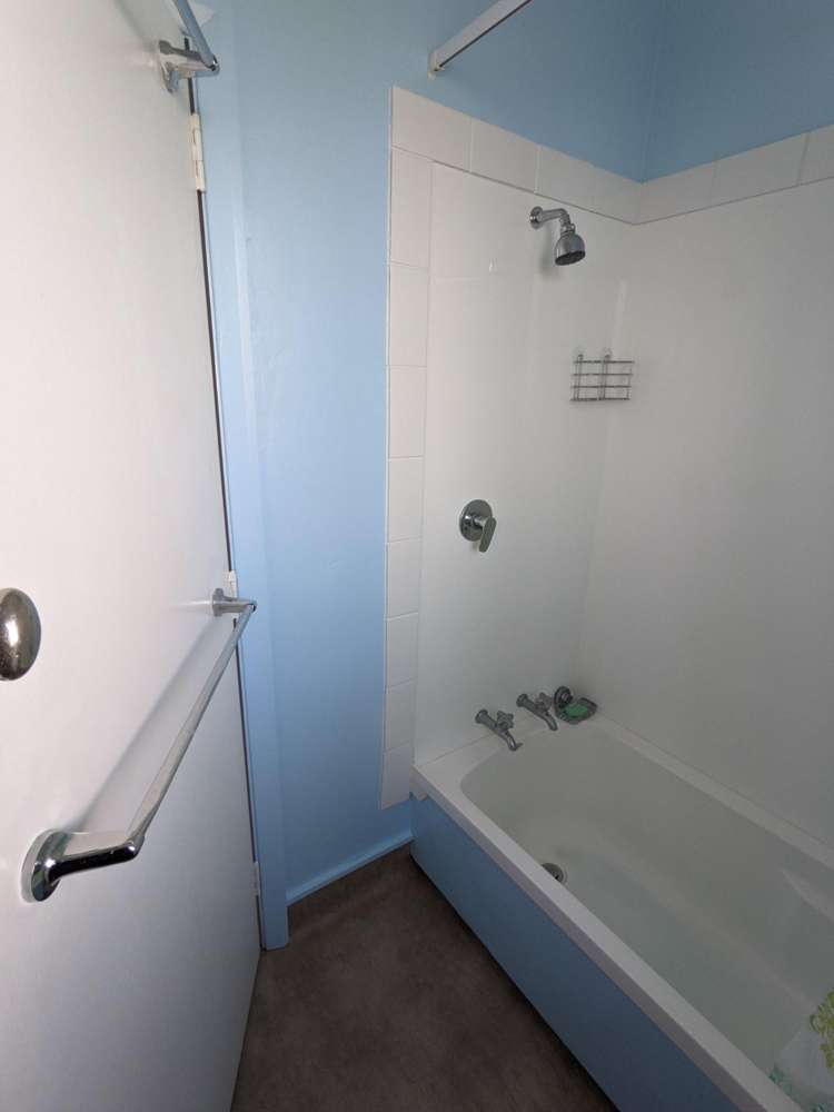  29 Graham Street Levin_18