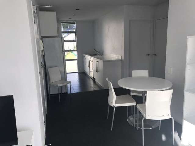 44 Liverpool Street Auckland Central_1