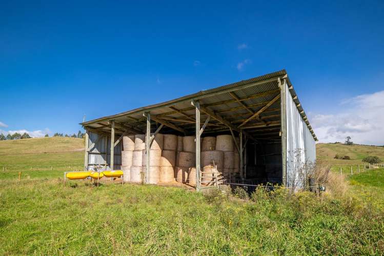 229 Teapot Valley Road Brightwater_22