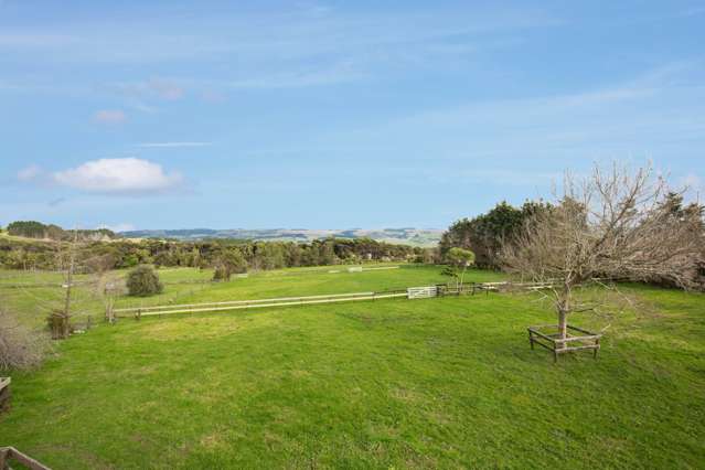 264 Wishart Road Helensville_1