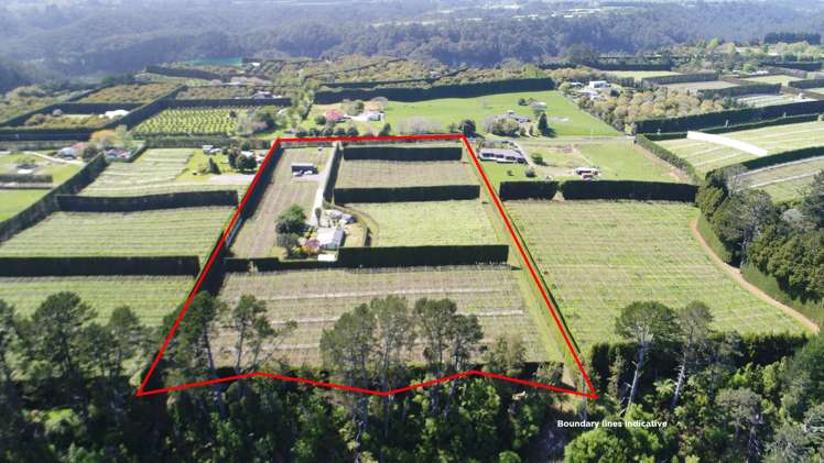 566 Belk Road Kaimai_12