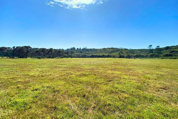 Lot 3/161 Wharariki Road_3