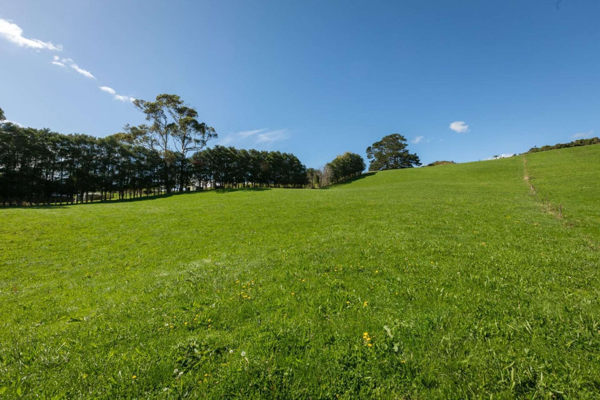 730 Waitawheta Road Waihi_0