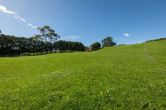 730 Waitawheta Road Waihi_1