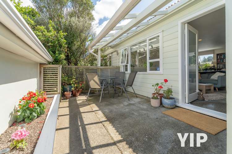 40b Wingfield Place Churton Park_12