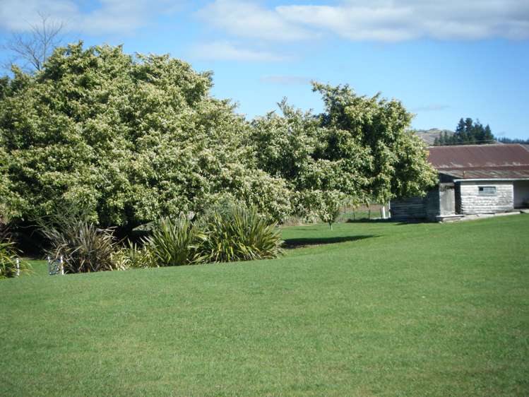 10 Tui Road Tapawera_14