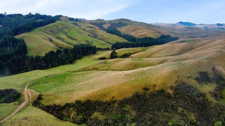 25 Mangamaire Road Dannevirke_20