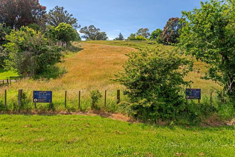 24 Montrose Street Kaiti_6